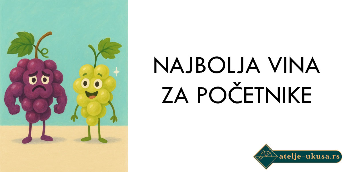 Najbolja vina za početnike koji ne vole “jaka” vina